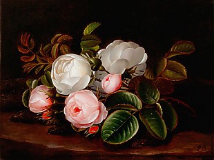 Peter Marius Bang - Still life with blooming roses