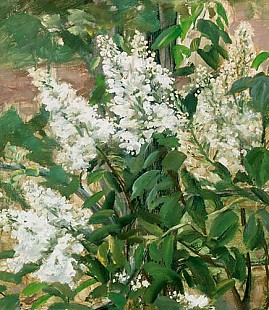 Olga Wisinger-Florian - Blooming shrub in the garden