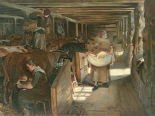 Oscar Björck - Midday feed in cowshed