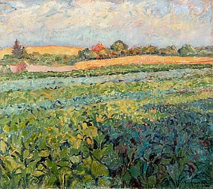 Georg Burmester - Fields