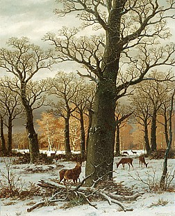 Caesar Bimmermann - Red deers in a winterly oak forest