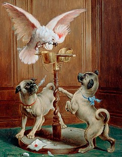Carl Reichert - The disturbed cockatoo
