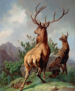 Friedrich Hohe - Deed and doe