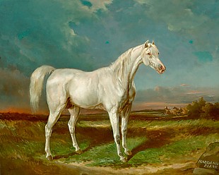 Carl Fredrik Kiörböe - The stut Habdanis Blanc