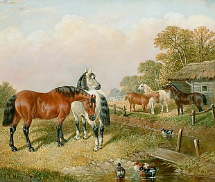 John Frederick Herring D. J. - Horses and ducks