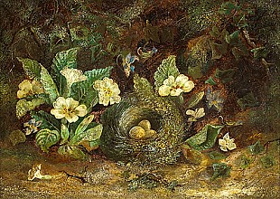 Unbekannter Stilllebenmaler - still life with bird`s nest