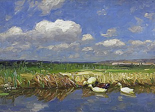 Alexander Koester - Ducks at a lakefront