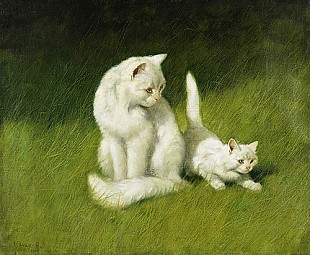 Arthur Heyer - Angora cats