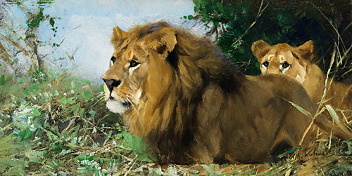 Wilhelm Kuhnert - Lions