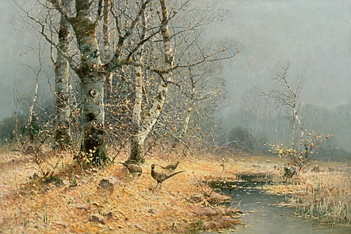 Otto Fedder - Pheasants in a autumn birch grove