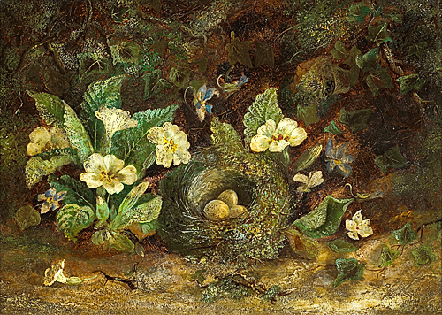 Unbekannter Stilllebenmaler - still life with bird`s nest