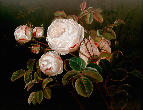 Johan Laurentz Jensen - Still life with blooming white roses