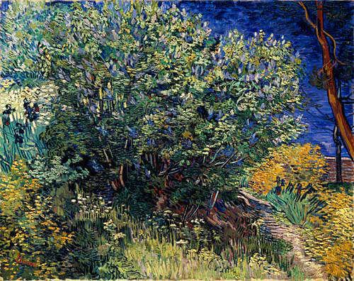 Vincent van Gogh - Syringa